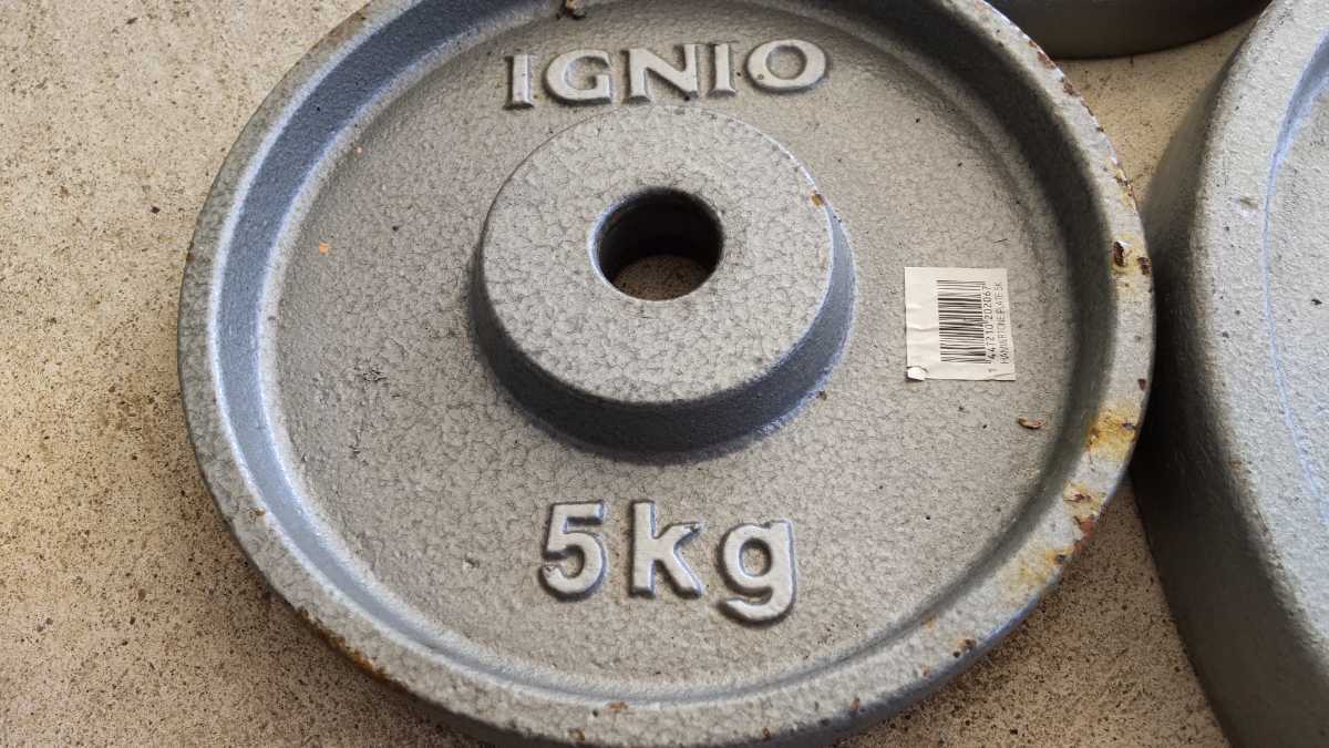 イグニオ IGNIO プレート 28mm径 バーベル ダンベルプレート 10kg 公式 