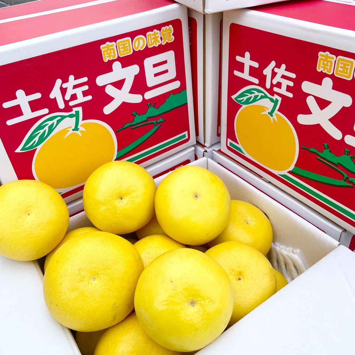 去年も大人気だった！美味〜しい 土佐文旦 10kみかん 2 土佐文旦 10kg