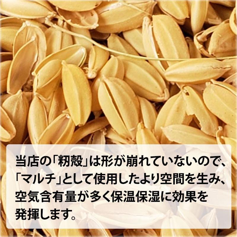 業界最安値挑戦　籾殻もみがら140リットル。土壌改良、送料無料（一部不可）融雪　畑に、土壌改良に家庭菜園、鶏舎敷物にハウス栽培に。_2