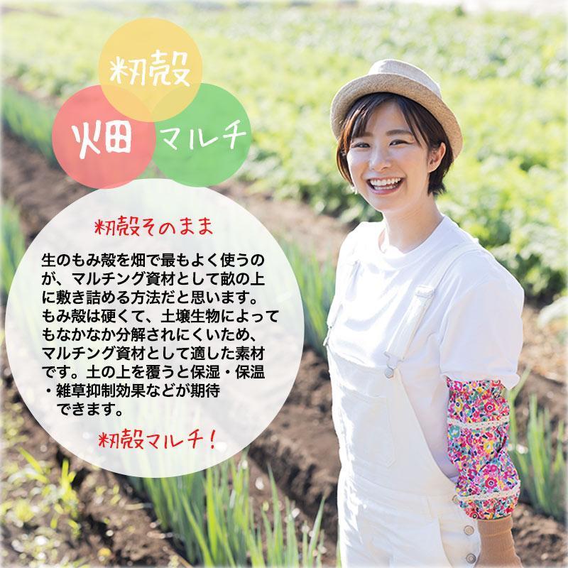 業界最安値挑戦　籾殻もみがら140リットル。土壌改良、送料無料（一部不可）融雪　畑に、土壌改良に家庭菜園、鶏舎敷物にハウス栽培に。_3