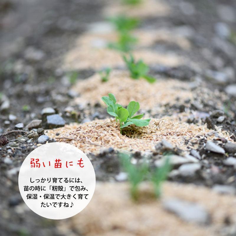 業界最安値挑戦　籾殻もみがら140リットル。土壌改良、送料無料（一部不可）融雪　畑に、土壌改良に家庭菜園、鶏舎敷物にハウス栽培に。_4