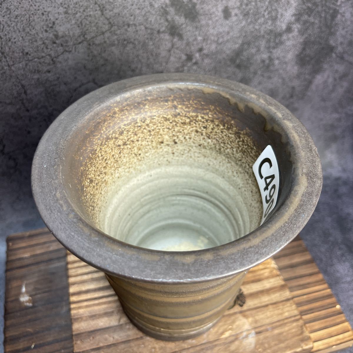 グラキリスSRLネイバーフッド鉢セット グラキリスSRLネイバーフッド鉢