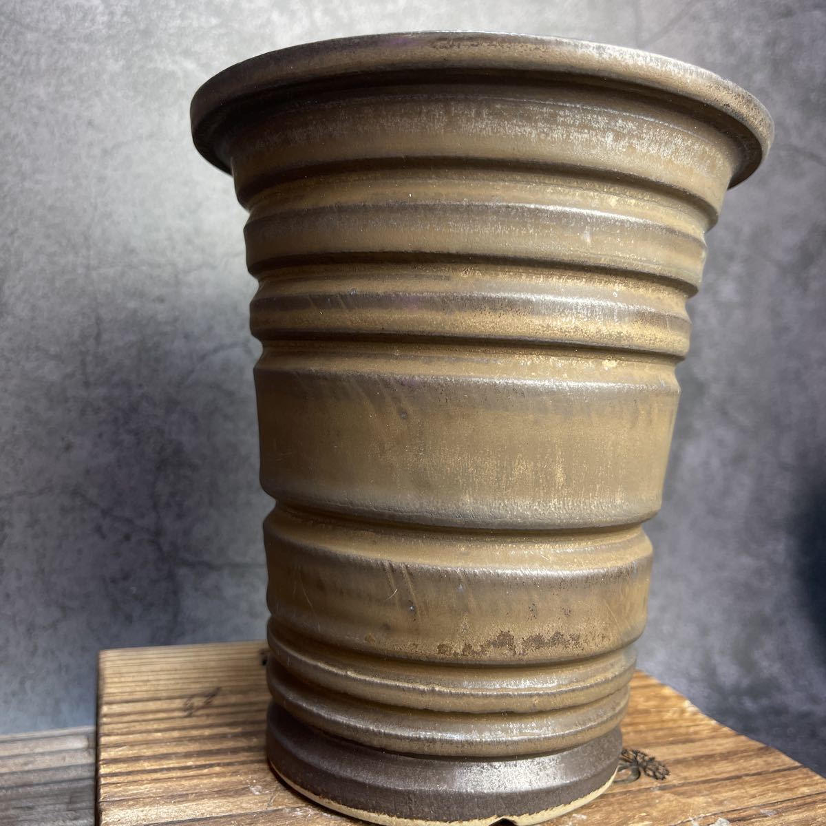 グラキリスSRLネイバーフッド鉢セット グラキリスSRLネイバーフッド鉢