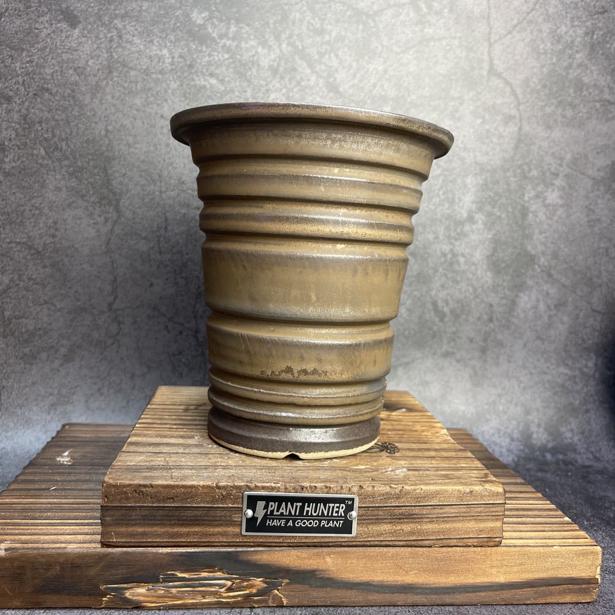 グラキリスSRLネイバーフッド鉢セット グラキリスSRLネイバーフッド鉢