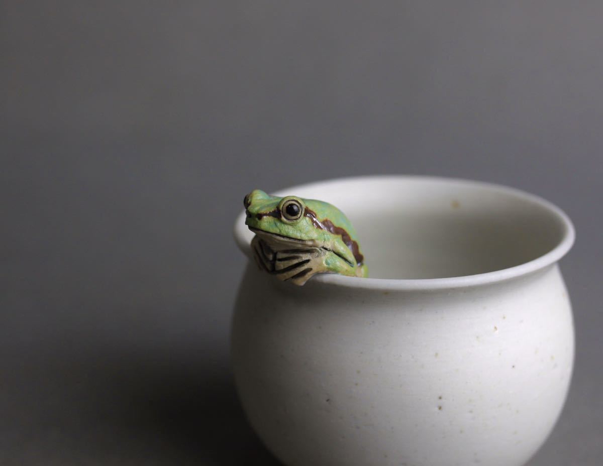 茶道具 常滑焼 滝田椿渓作 真焼 茶碗 時代箱 C 8714 凩03） 滝田椿渓