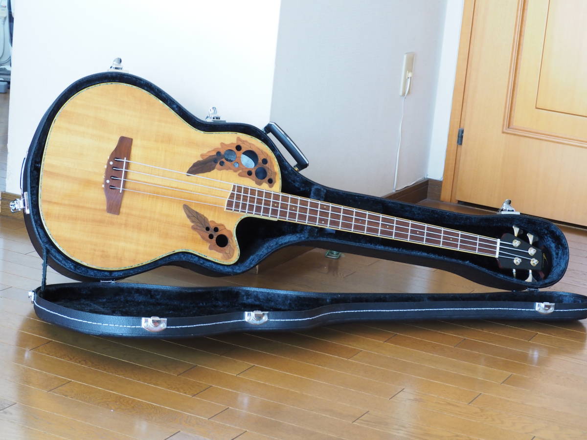 CC4474 Ibanez 11995OVATION Cases Gator ケース Ovation CC4474