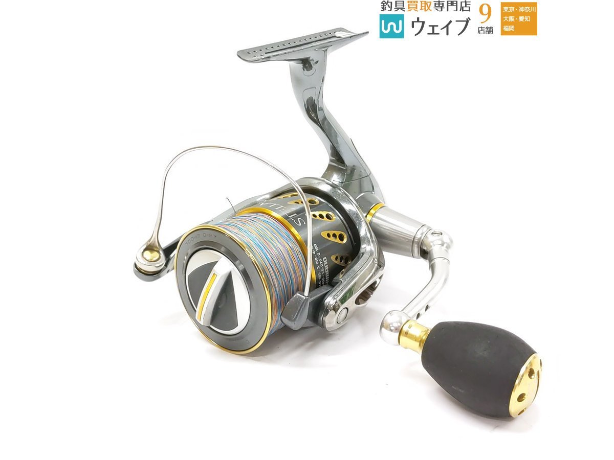 キフォステンマ ベティフォルメ ナローリーフ