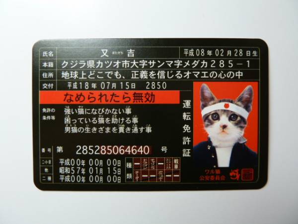 なめ猫〓免許証〓月刊コロコロコミック8月号付録〓SATORU TSUDA(小物