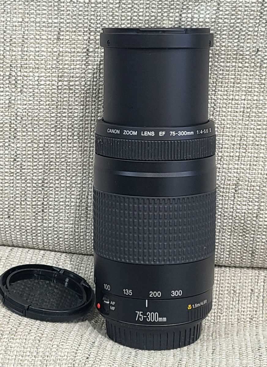 EOS Canon IX50 キャノン EF IXE キヤノン 24-85mm - (シルバ f⁄3.5