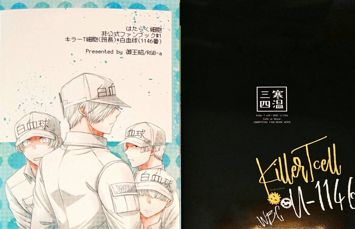 美品 はたらく細胞 同人誌 2冊セット キラ白 キラーT細胞×白血球 1146番 班長 好中球 2626 4989 2048 WEB再録本 再録集 全年齢 働く細胞_2