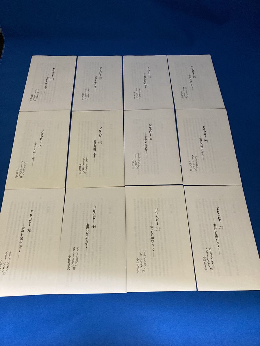 英検（R）2級以上 家出のドリッピー 和訳冊子12冊セット 英 送無家出のドリッピー 『コインの冒険 家出のドリッピー 和訳冊子12冊セット  英検（R）2級以上 TOEIC（R）750点を目指す方向け 高校大学受験 留学 イングリッシュアドベンチャー