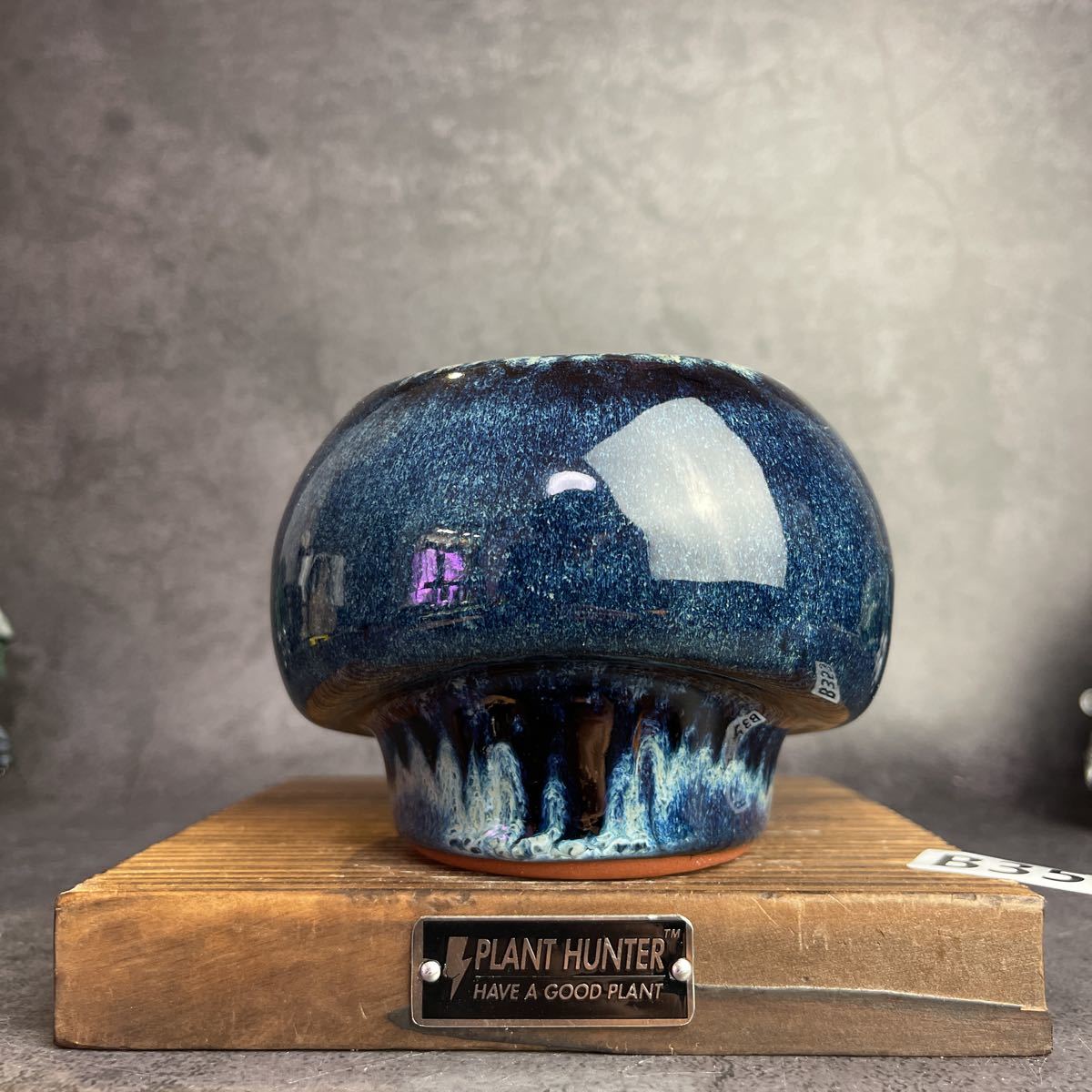 B353 Mサイズ 植木鉢 陶器 検（invisible ink raw life factory SRL 中川智治　伝市鉢カタチ製作所 塊根植物 グラキリス パキプス アガベ)