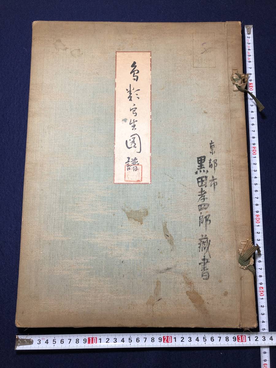 1162花鳥画 画譜 特大本 □鳥類写生図譜□ 全50枚 神