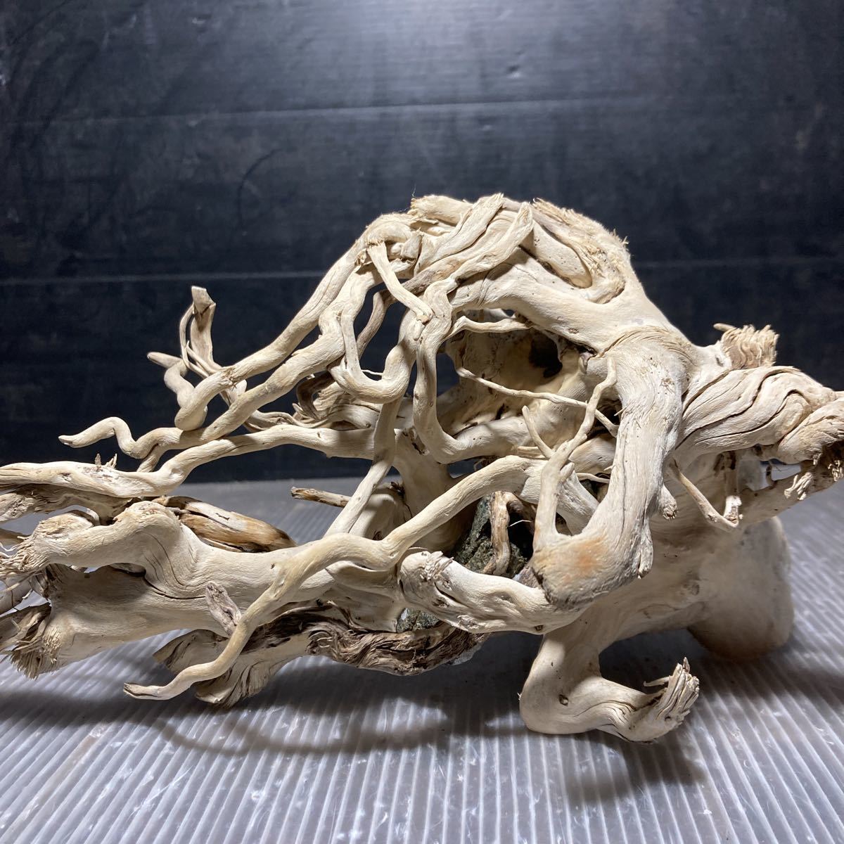 ☆sea tree☆送料無料♪煮沸消毒済み流木 　 997流木/水槽/アクアリウム/テラリウム/インテリア/ADA/サンゴ/置物/