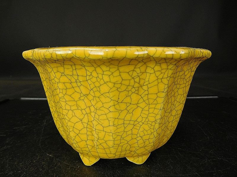 盆栽鉢　鴻陽 現代小鉢：鴻陽 楕円鉢 24.8cm【現】 | すべての商品 | 遊恵盆栽 本店