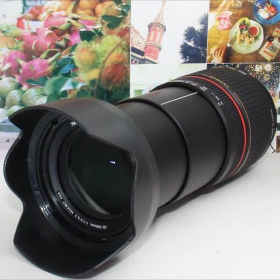 標準から超望遠まで１本で対応Nikon用 タムロン 28-300mm