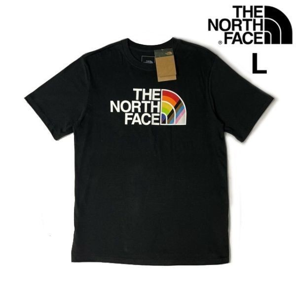 1円～!売切!【正規新品】THE NORTH FACE S/S PRIDE TEE 半袖 Tシャツ US限定 レインボー 男女兼用 ハーフドームロゴ(L)黒 180902-18