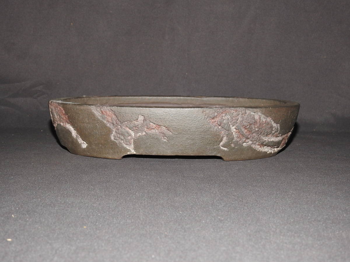 【十王堂松泉作 】虫喰切立楕円(横32㎝）中国鉢水盤植木鉢花台