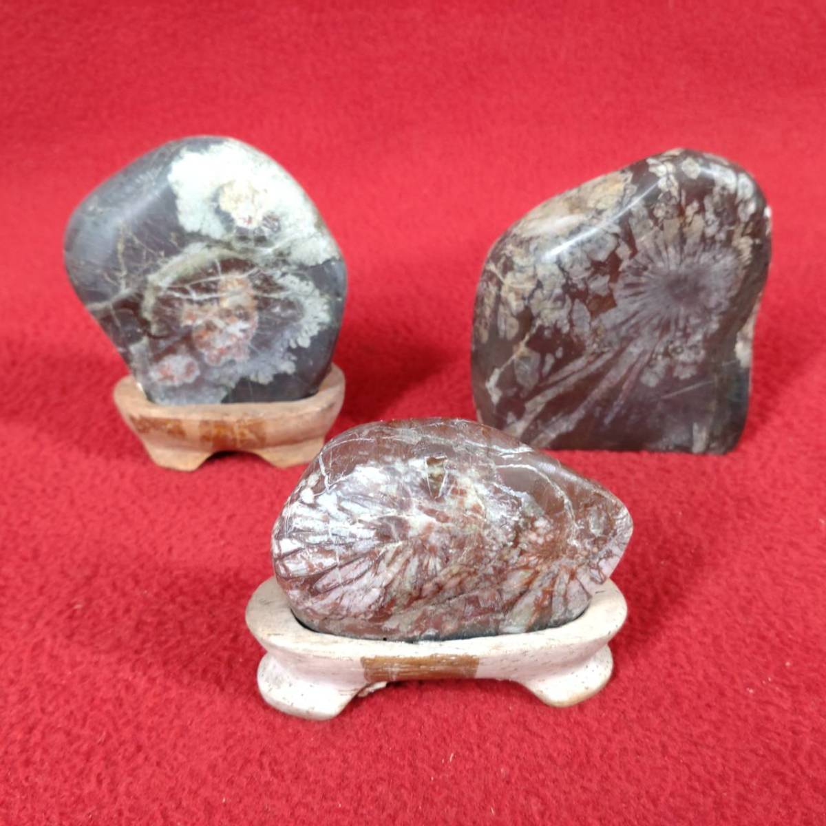 鉱物標本60種｜化石販売・鉱物販売の東京サイエンス 貴石 宝石 鉱石