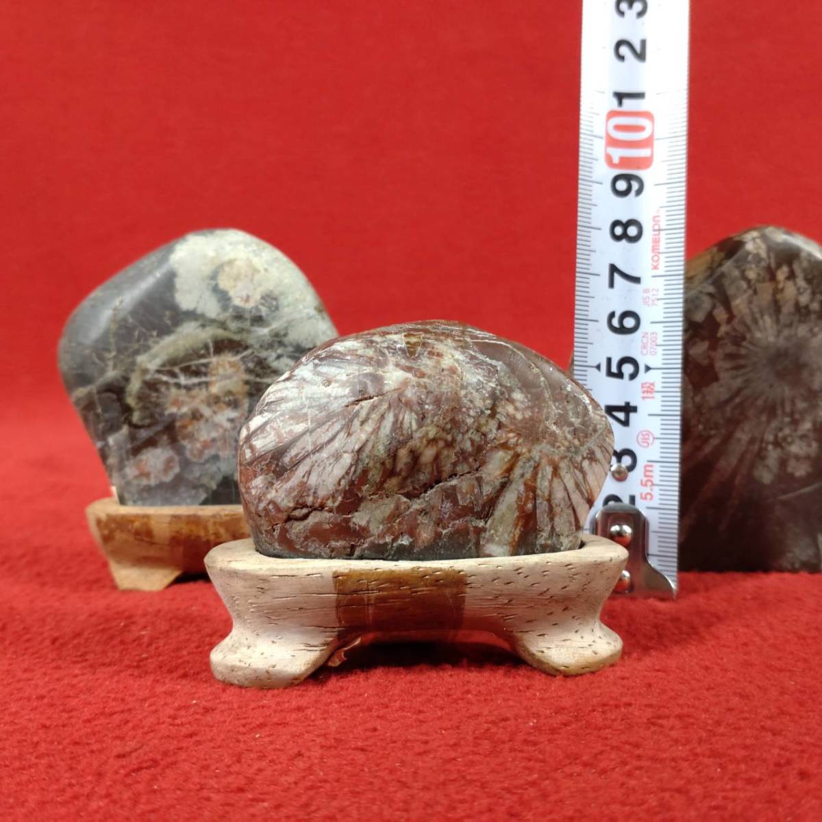鑑賞石 菊紋石 3点 花紋石 菊花石 鉱石 鉱物 パワーストーン 置物 盆栽
