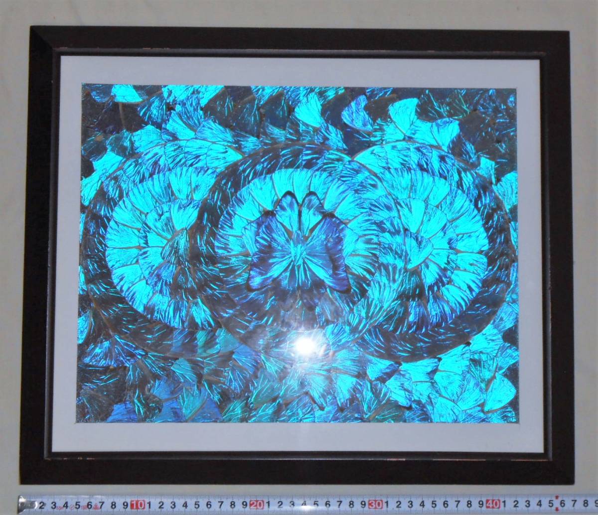 モルフォ蝶 飾り額 額サイズ約39×47cm 羽工芸 標本 バタフライアート
