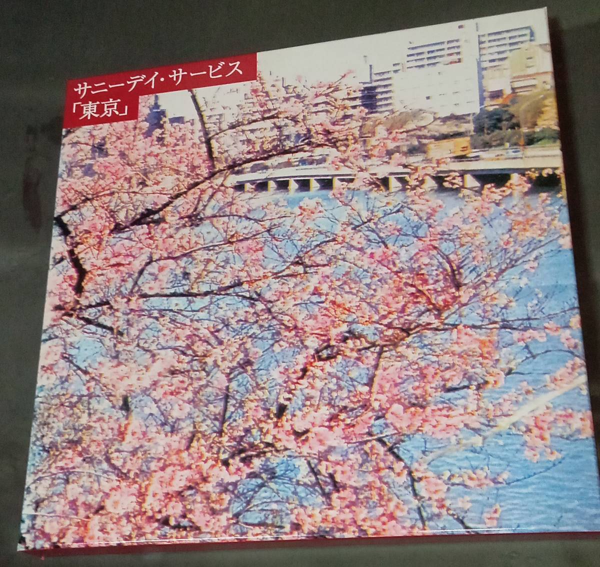 レコード サニーデイ・サービス 「愛と笑いの夜」 LPレコード・極美品