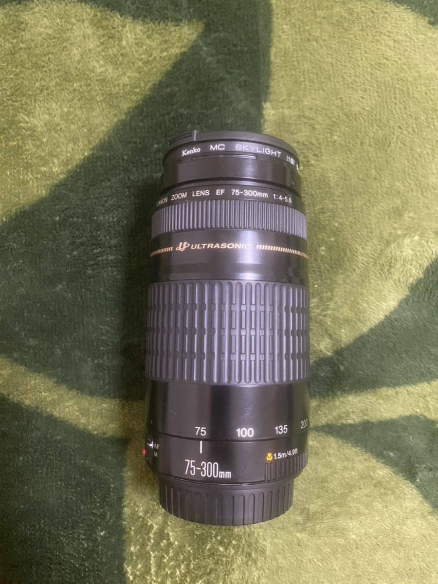 Canon EF75-300mm