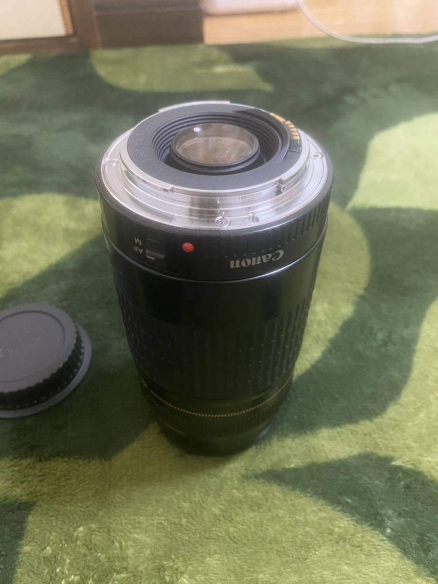 Canon EF75-300mm