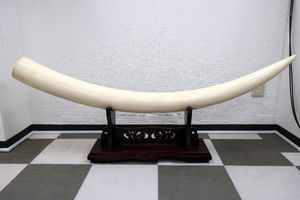 象牙風のYahoo!オークション(旧ヤフオク!)の相場・価格を見る｜Yahoo