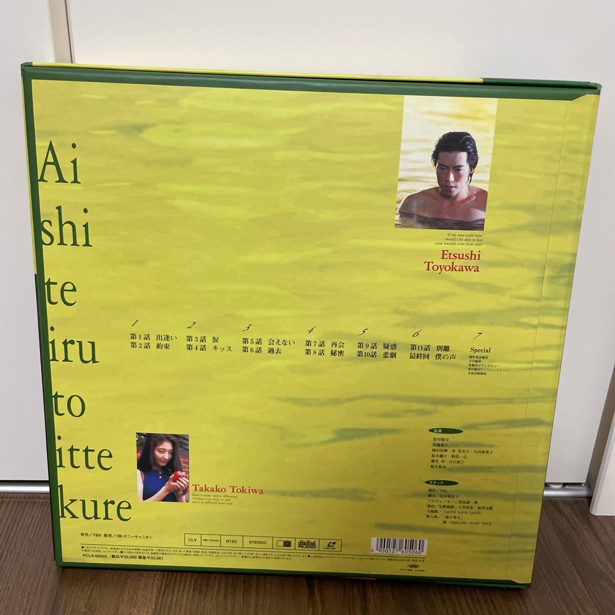 愛していると言ってくれ LASER DISC