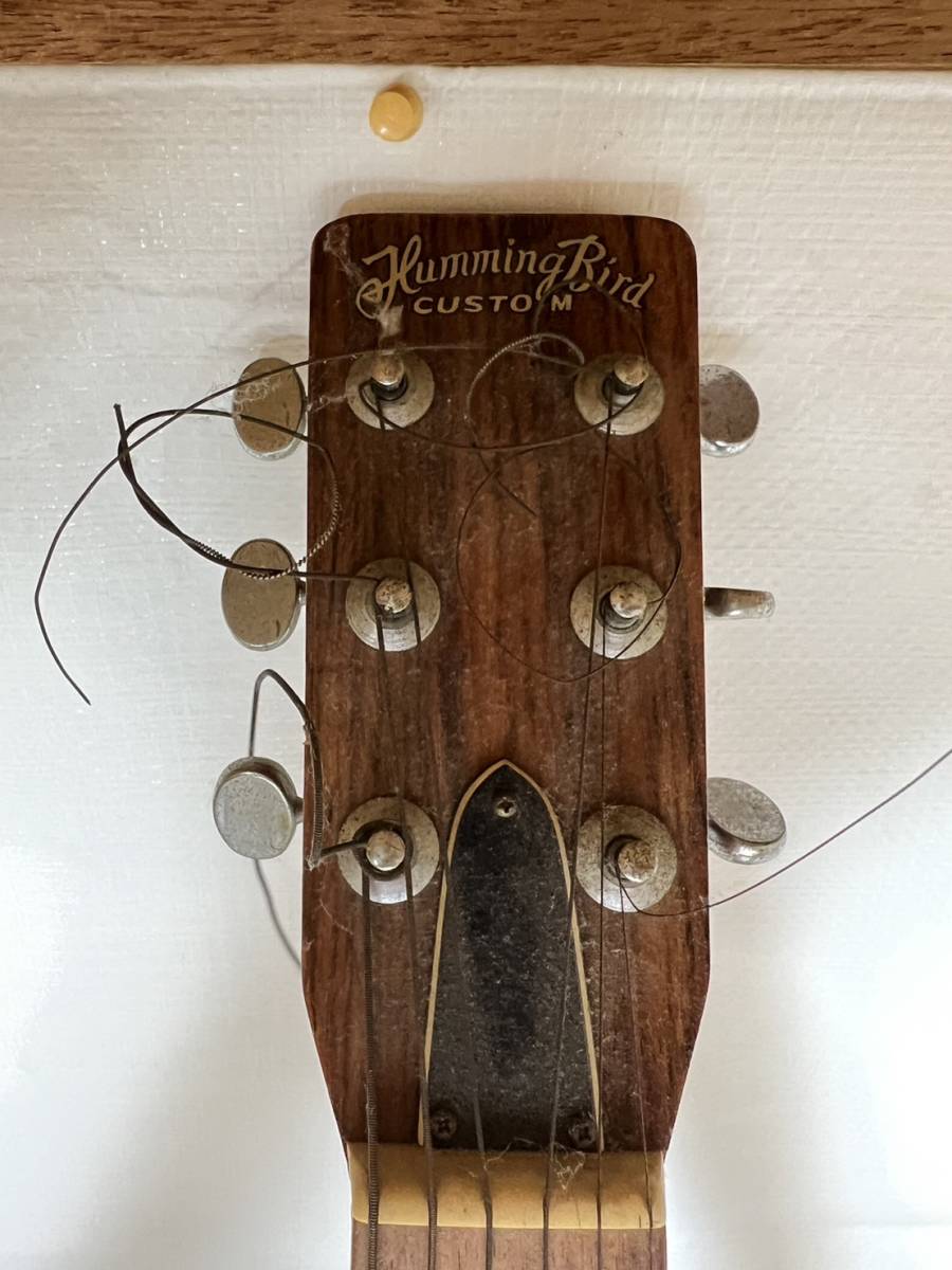 tokai フォークギター ハミングバード humming bird w-150 