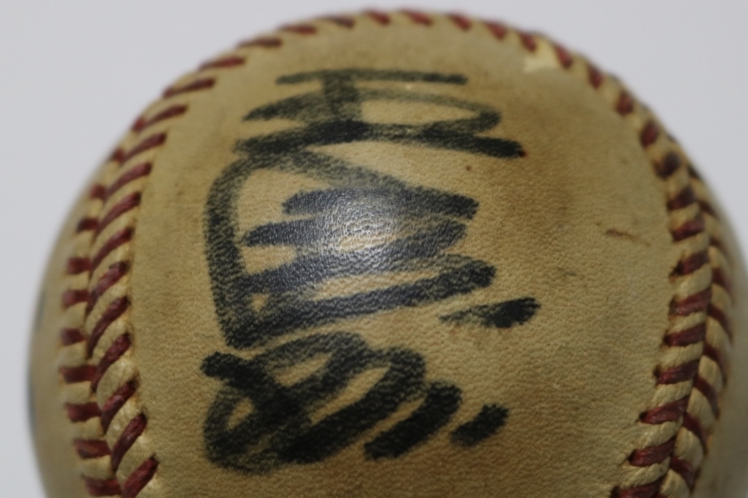 王貞治 長嶋茂雄 サインボール プロ野球 読売巨人軍の入札履歴 - 入札