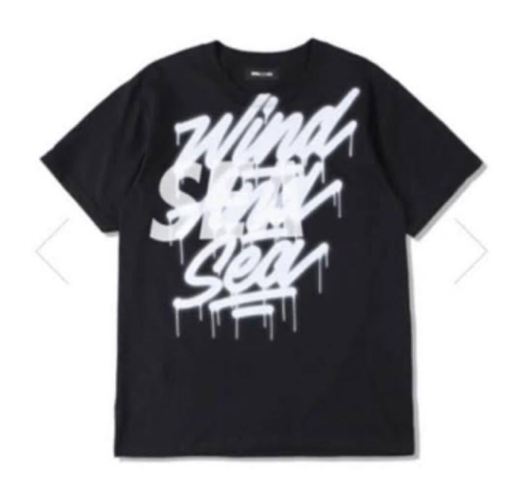 wind and sea × IT S A LIVING Tシャツ　ブラック　Mサイズ