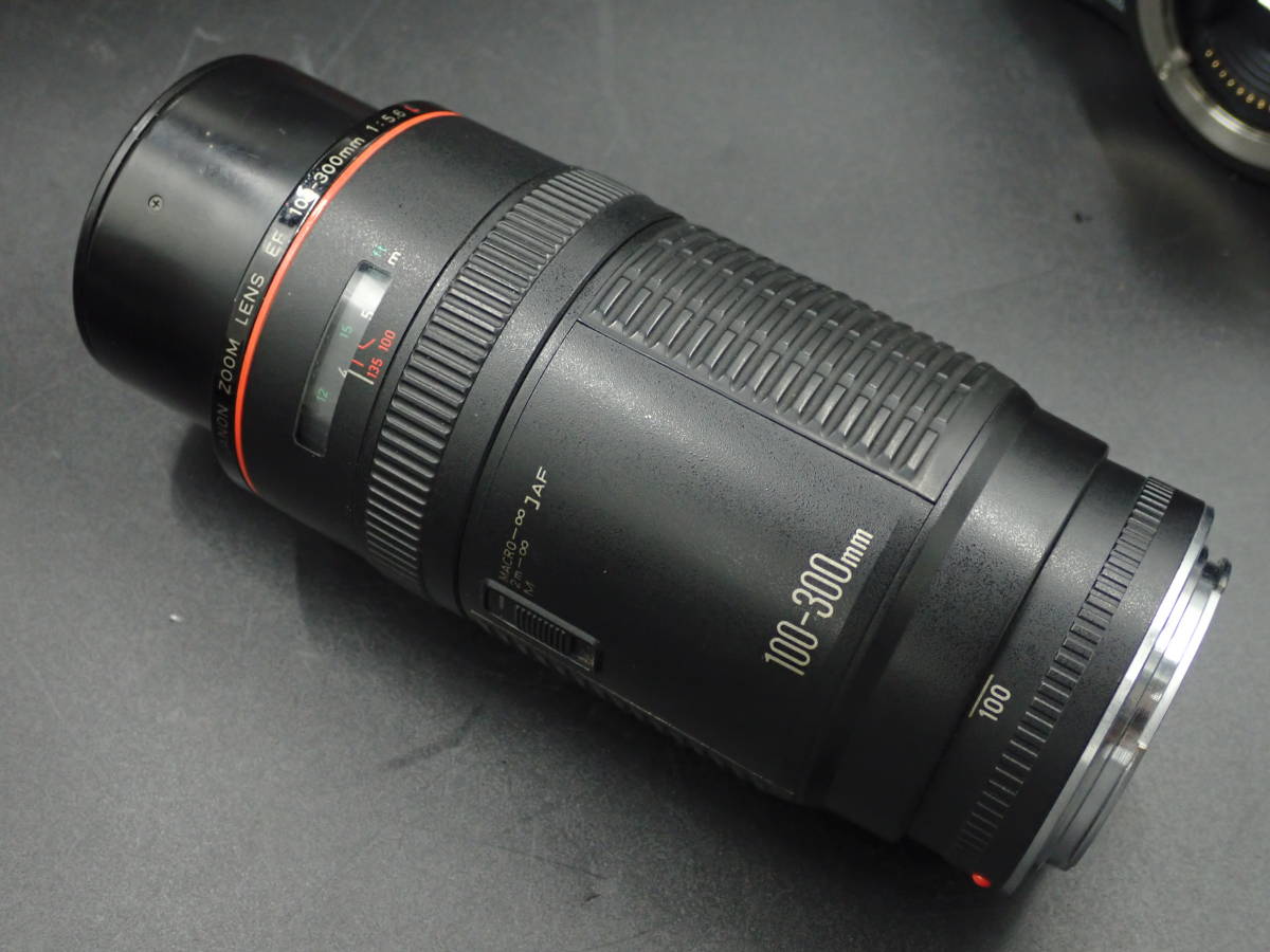 【美品】遠くをキレイに撮れるLレンズCanonEF100-300mm F5.6L ❤遠くをキレイに撮れるLレンズ☆Canon EF100-300mm F5.6L❤ 【公式通販】