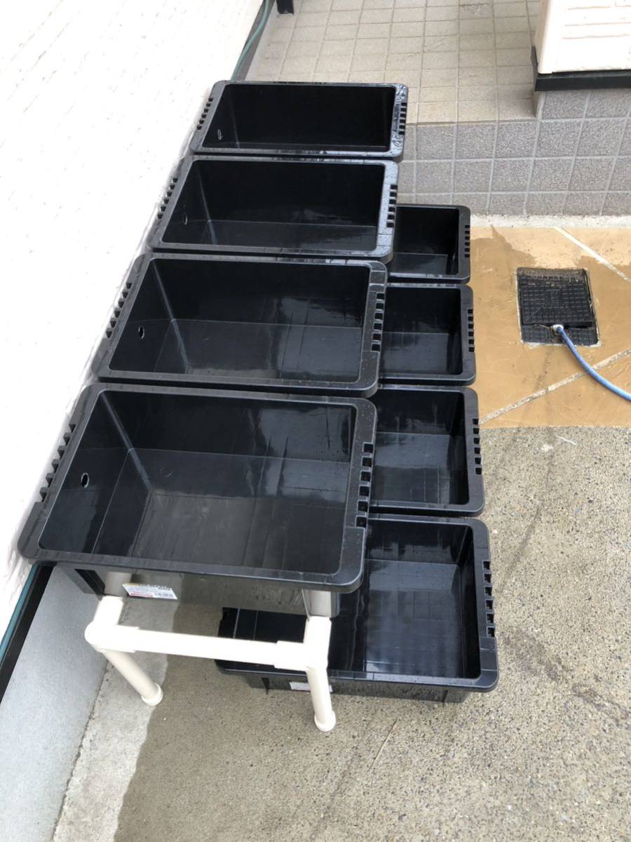 メダカ飼育ラック ブラック接着剤付 公式通販 めだか飼育棚 メダカ飼育