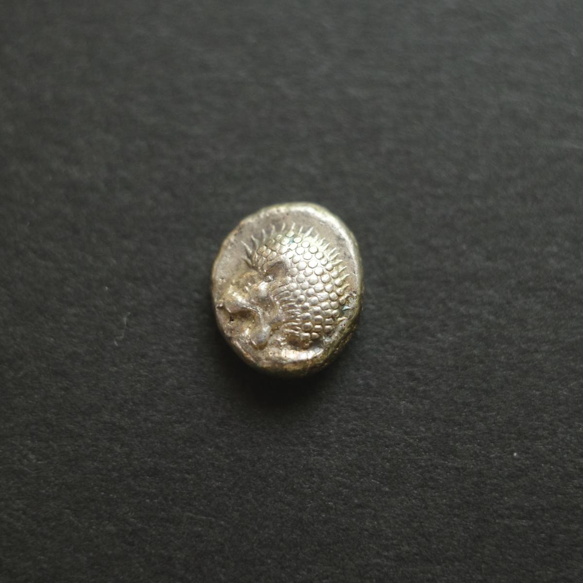 5⁄5 古代ギリシア イオニア国 銀貨ライオンの通販 古代ギリシャ クック 