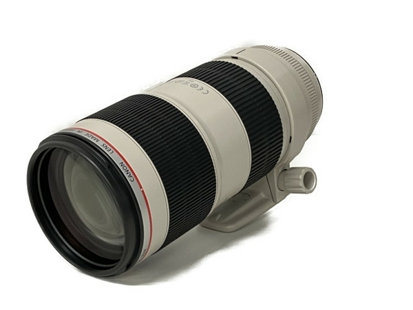 Canon EF Canon EF70-200mm F2.8L IS II USM 望遠ズームレンズ 専用
