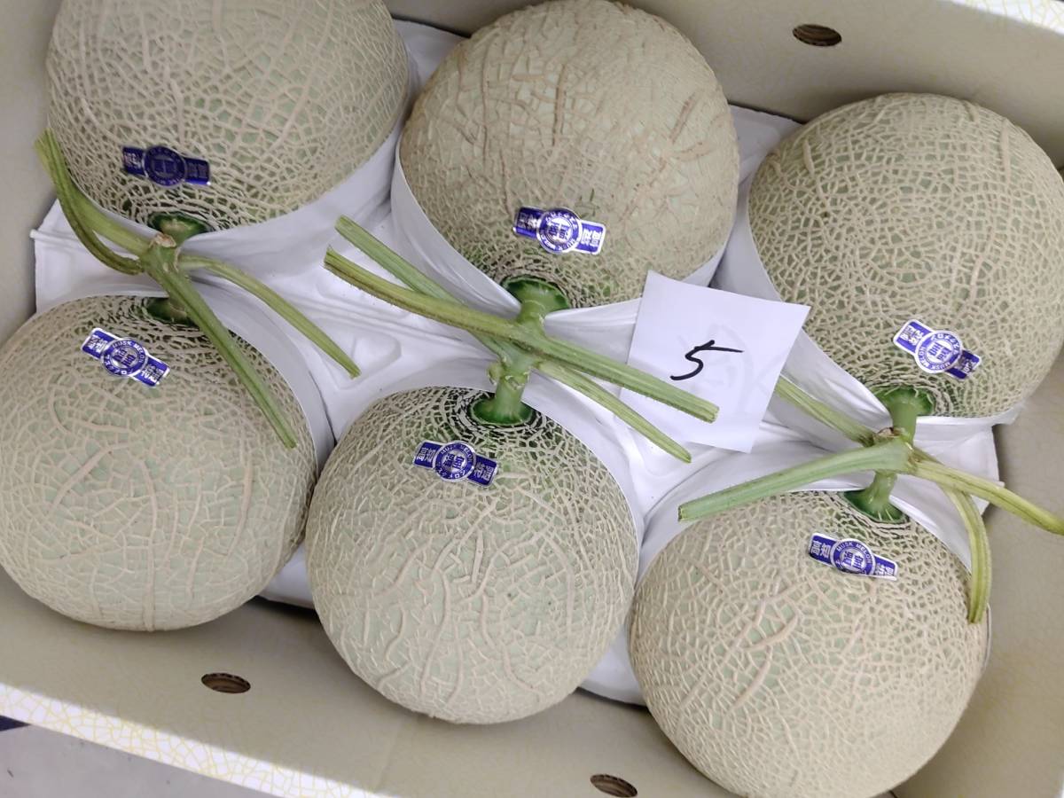 高知産　温室マスクメロン　5玉　約１０ｋｇ　贈答用　秀品　北海道沖縄発送不可 ☆ 送料無料 温室 高知産 マスクメロン 5玉入り 約10，0Kg