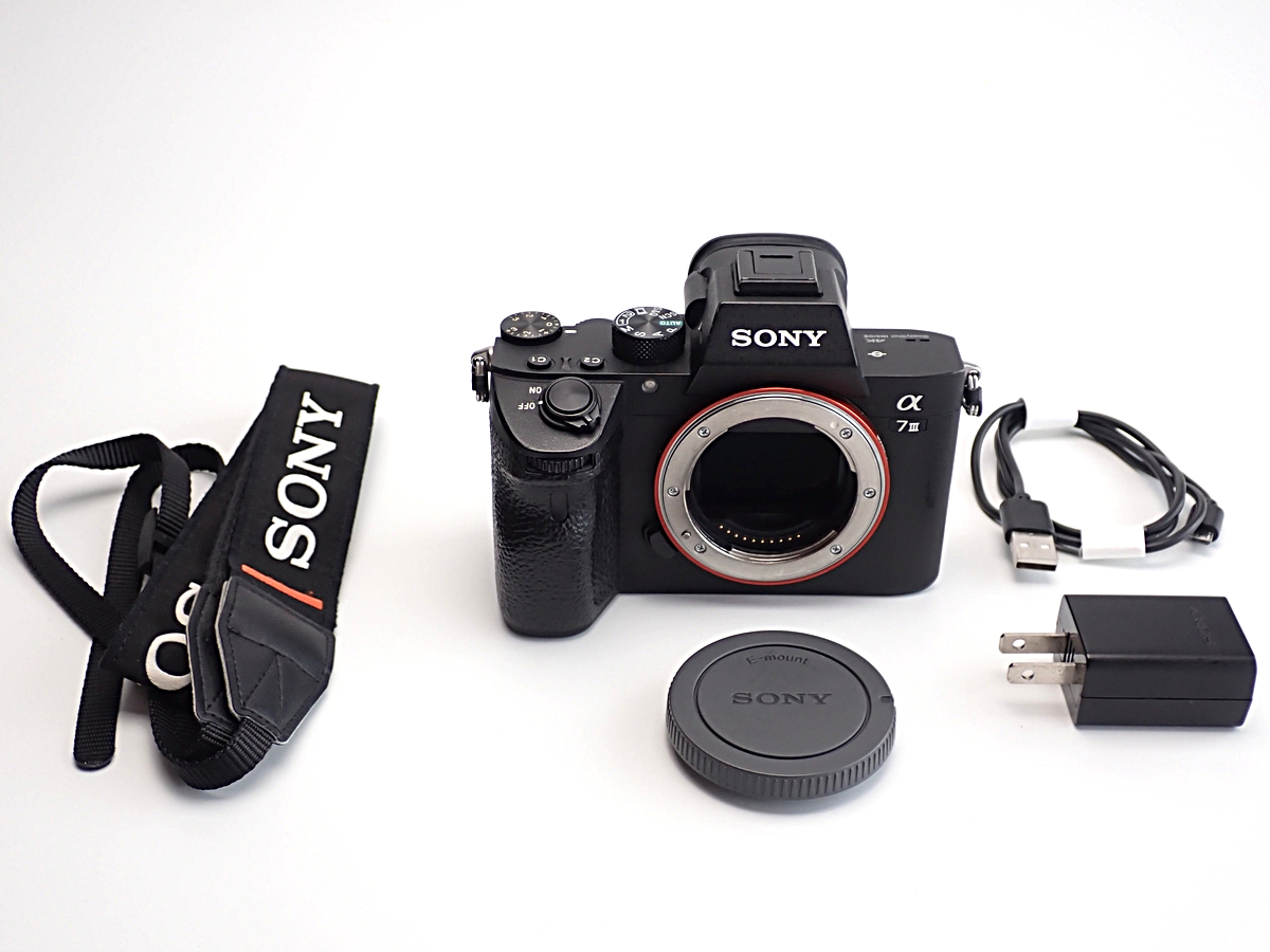 SONY α7 III ILCE-7M3 ボディ バッテリー×2 SONY ILCE-7M3 α7iii II