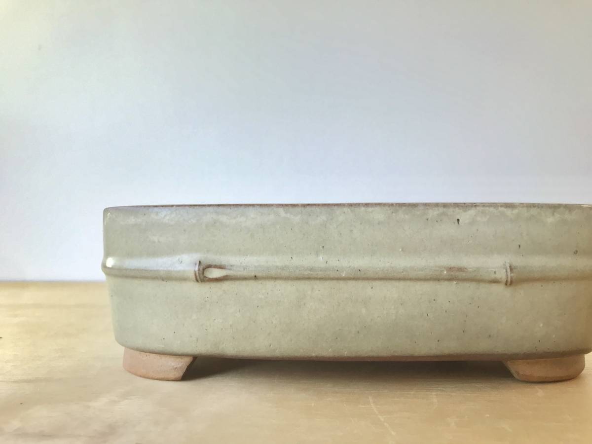 三琇一陽】 盆栽鉢1点 竹節胴紐撫角長方 希少 山