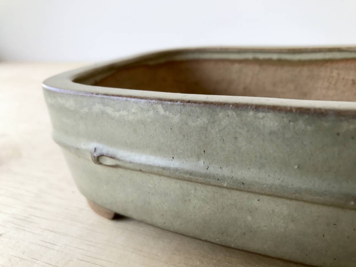 三琇一陽】 盆栽鉢1点 竹節胴紐撫角長方 希少 山