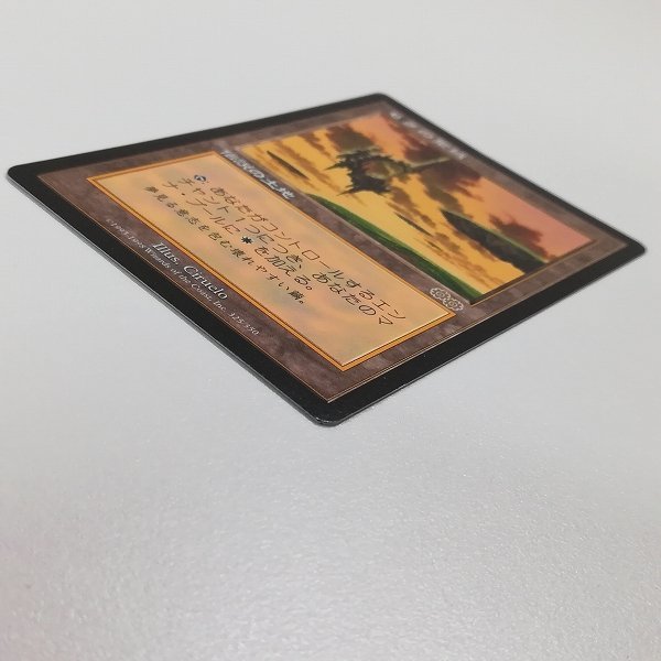 セラの聖域⁄Serra's Sanctum》[USG] 土地R | 日本最大級 MTG通販サイト