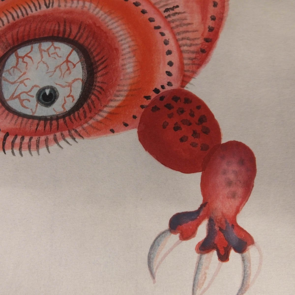 ヤン・シュヴァンクマイエルの商品一覧 通販｜ブックオフ公式