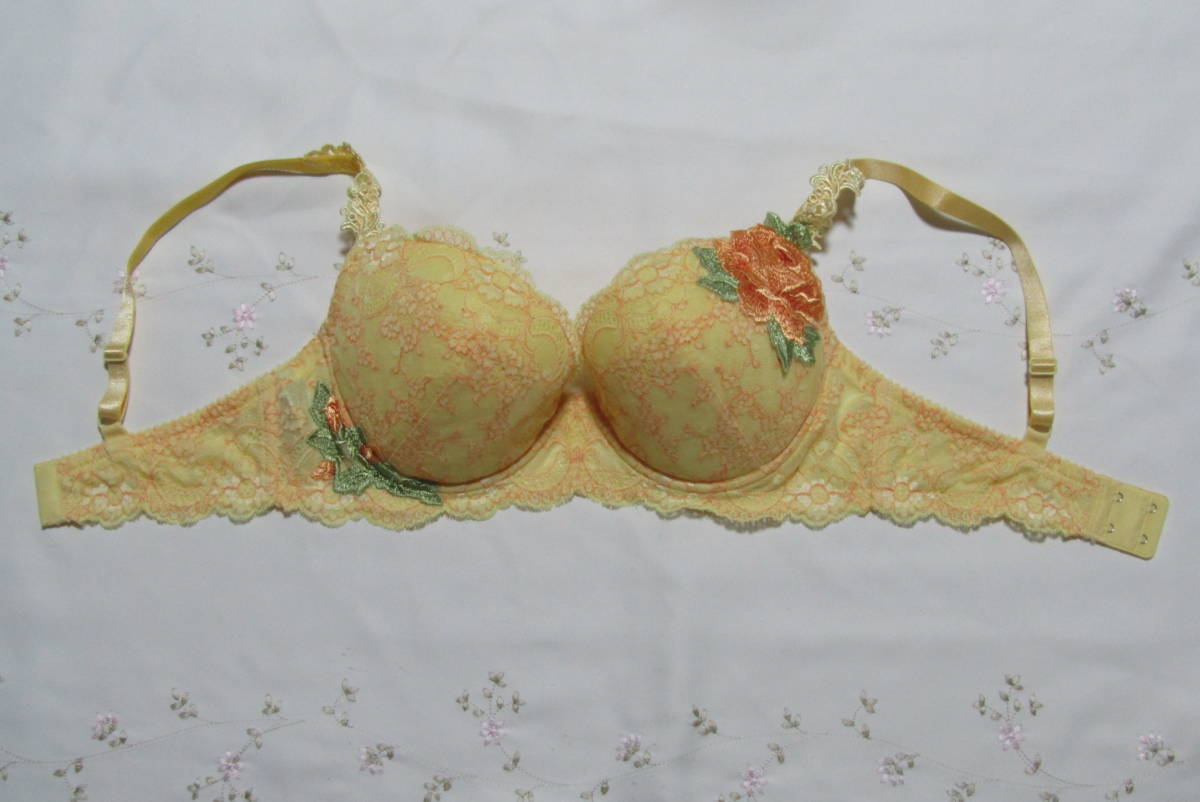 696.新品同様★ワコール Salute サルート ブラジャーF75