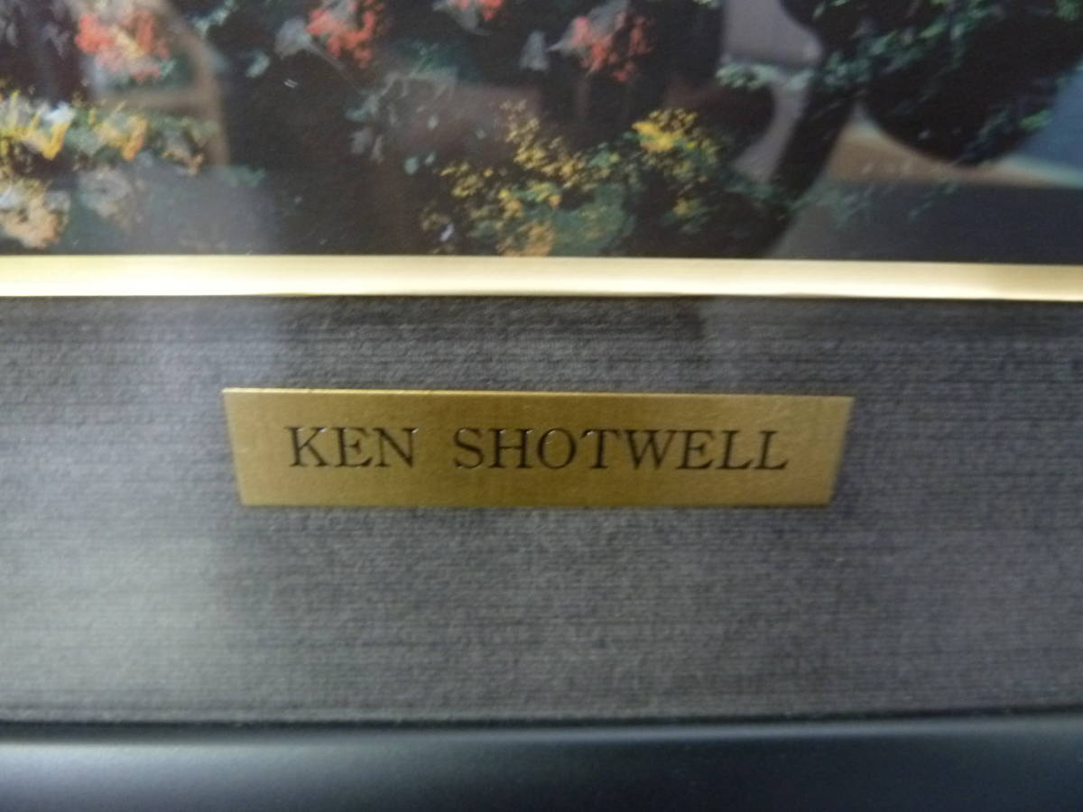 ◇Ken Shotwell ケンショット・ウェル フローラ・ノヴァ ルミナート