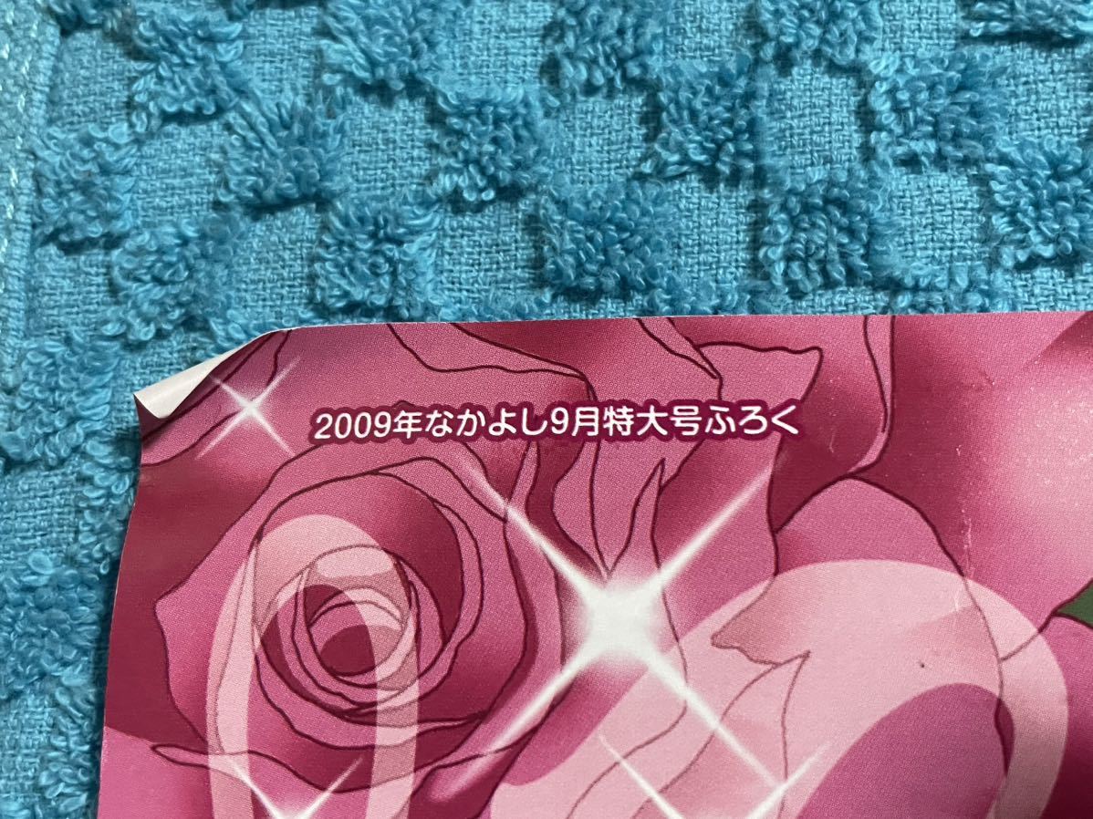 レア どきどき!たまタン ARISA 両面 ポスター 2009年 なかよし 付録