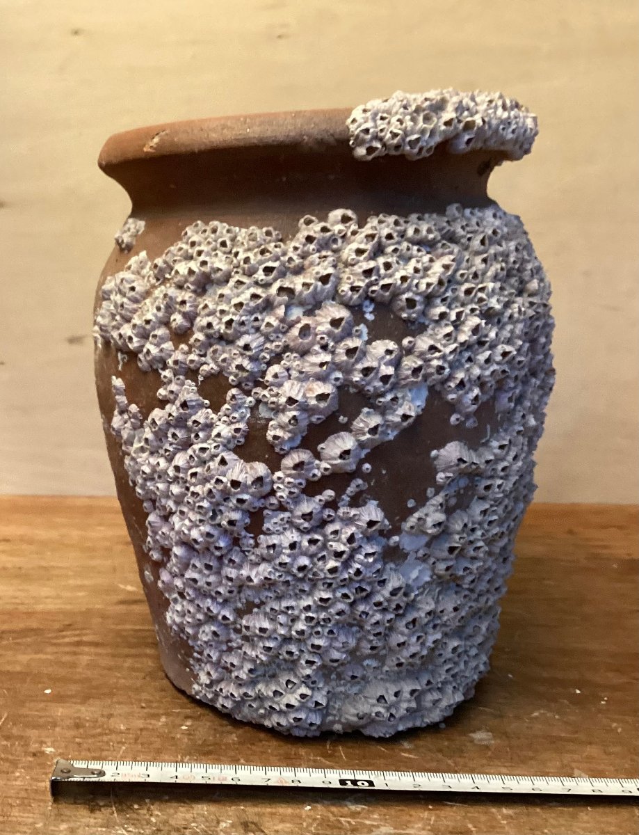 家財道具 研磨白いタコ 全磁無エナメルタコ 陶磁器の置物 - 陶芸用 