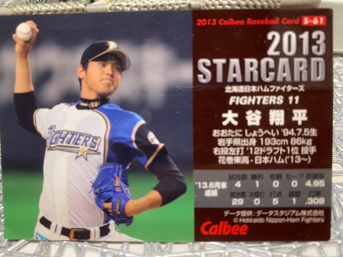大谷翔平2013カルビー野球チップス 【公式通販】
