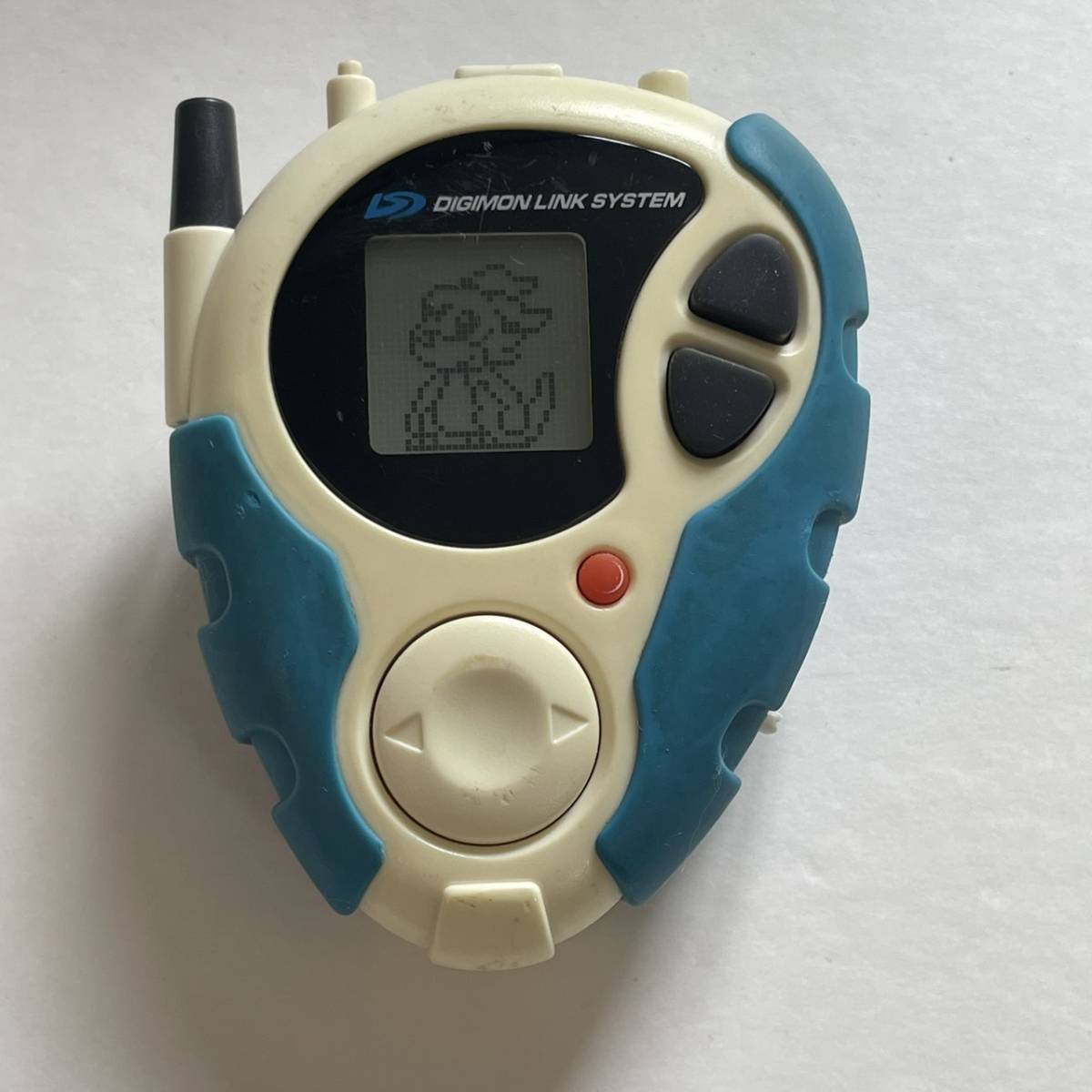 ユーザー投稿写真