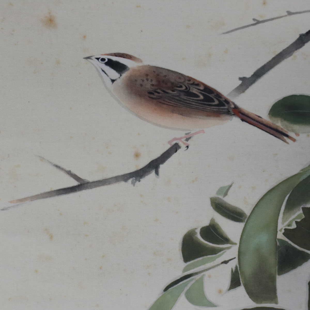 美品 掛け軸 奥村土牛筆「夏みかん」印刷 日本画家 花鳥 夏掛け 宙】模写 奥村土牛「夏みかん小禽」絹本 日本画 掛軸 落款有 合箱 文化